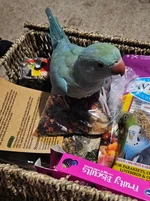 20260910_183852.webp