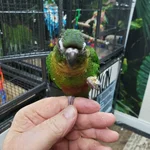 20260823_080124.webp