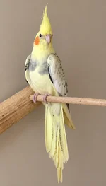 739aaa7b-6957-4c80-a0d9-1d52da2fc062.webp