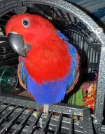 IMG_4212.webp