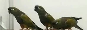 1790896263979.webp