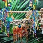 20260823_083346.webp