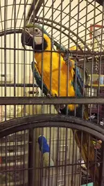 1520737_3688467746211_2057082993_n.webp