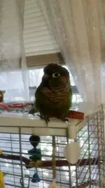 20140930_160509.webp 20140930_160509.webp