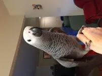 louise4 (768x1024) (768x1024).webp