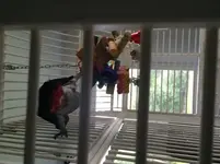 louise3 (600x800) (600x800) (600x800).webp