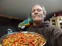 Large Marge and her wid Alaskan strawberries.webp