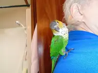 004.webp