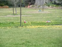 DSCN1192.webp
