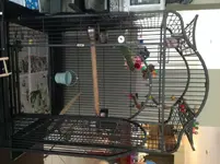 Jet cage.webp