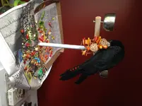 Jet stand.webp