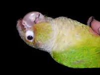 20141003_234319.webp