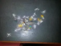 IMG_20140127_002511.webp