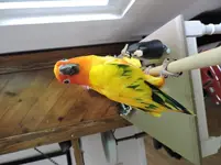 DSCN2839.webp