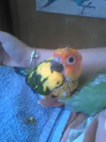 New Image.webp New Image.webp