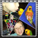 image.webp
