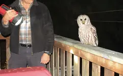 owl pic cropped.webp