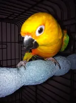 IMG_20141109_135011.webp