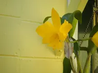 P2100002.webp