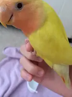 IMG_2037.webp IMG_2037.webp