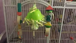 20140210_191009.webp