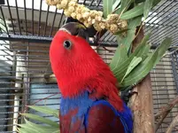 image.webp