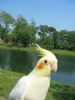 2413930050094407224mCQYAx_ph.webp