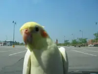 2886784400094407224AxdNlA_ph.webp