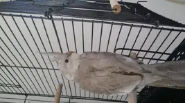 20141116_160503.webp
