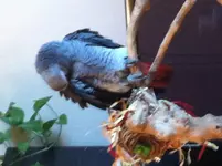 2014-11-21 15.17.06.webp