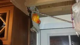 IMG_20140327_221626_019 (1).webp