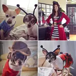 ImageUploadedByTapatalk1446420911.278232.webp