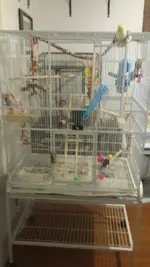 20141122_205511.webp