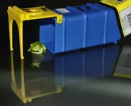 Vacation Frog 008 D700 14062010.webp