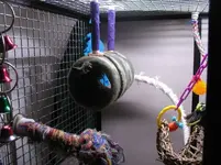tunnel2.webp