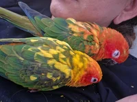 IMG-20260925-WA0006.webp