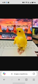 Screenshot_2026-10-14-16-29-19-81_df198e732186825c8df26e3c5a10d7cd.webp