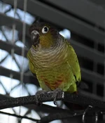 DSC_1317.webp