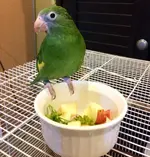 2015-11-09 19.05.35.webp