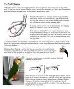 Nail Clipping-1.webp