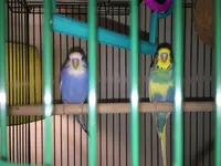 2014-12-10 16.21.32.webp