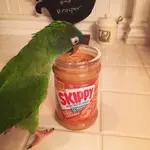 ImageUploadedByTapatalk1449268283.177418.webp ImageUploadedByTapatalk1449268283.177418.webp