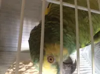 Paco 1.webp