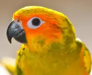 DSC_1761.webp DSC_1761.webp