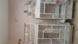 20151216_191716.webp
