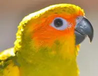 DSC_1758.webp DSC_1758.webp