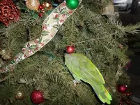 046.webp