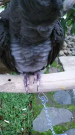 12436591_10205497015129525_234035676_o.webp