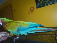 100_3212.webp