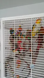 10001464_10203186547768178_1552679626_n.webp